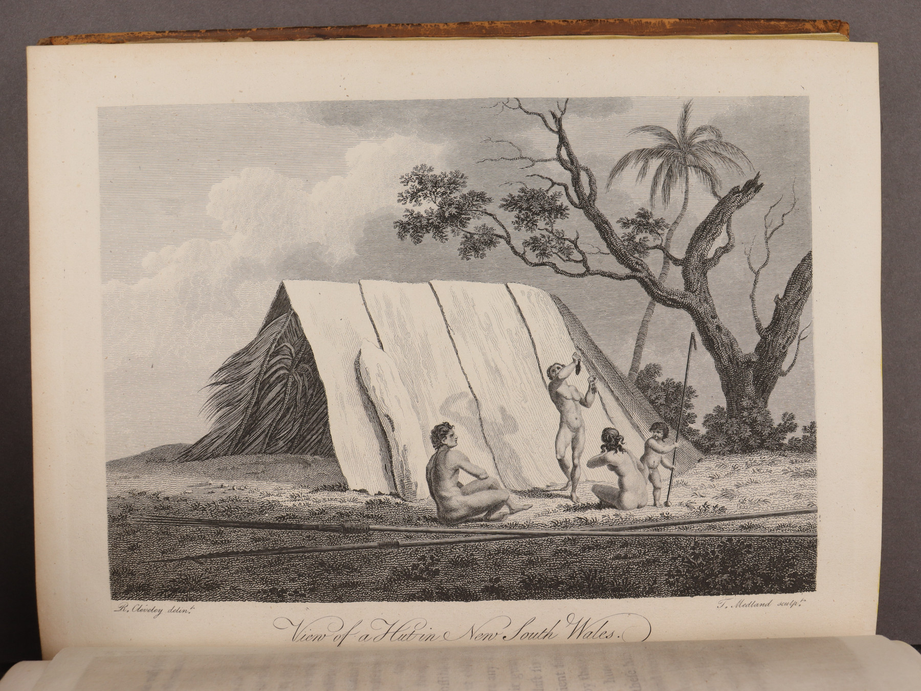 Plate 9